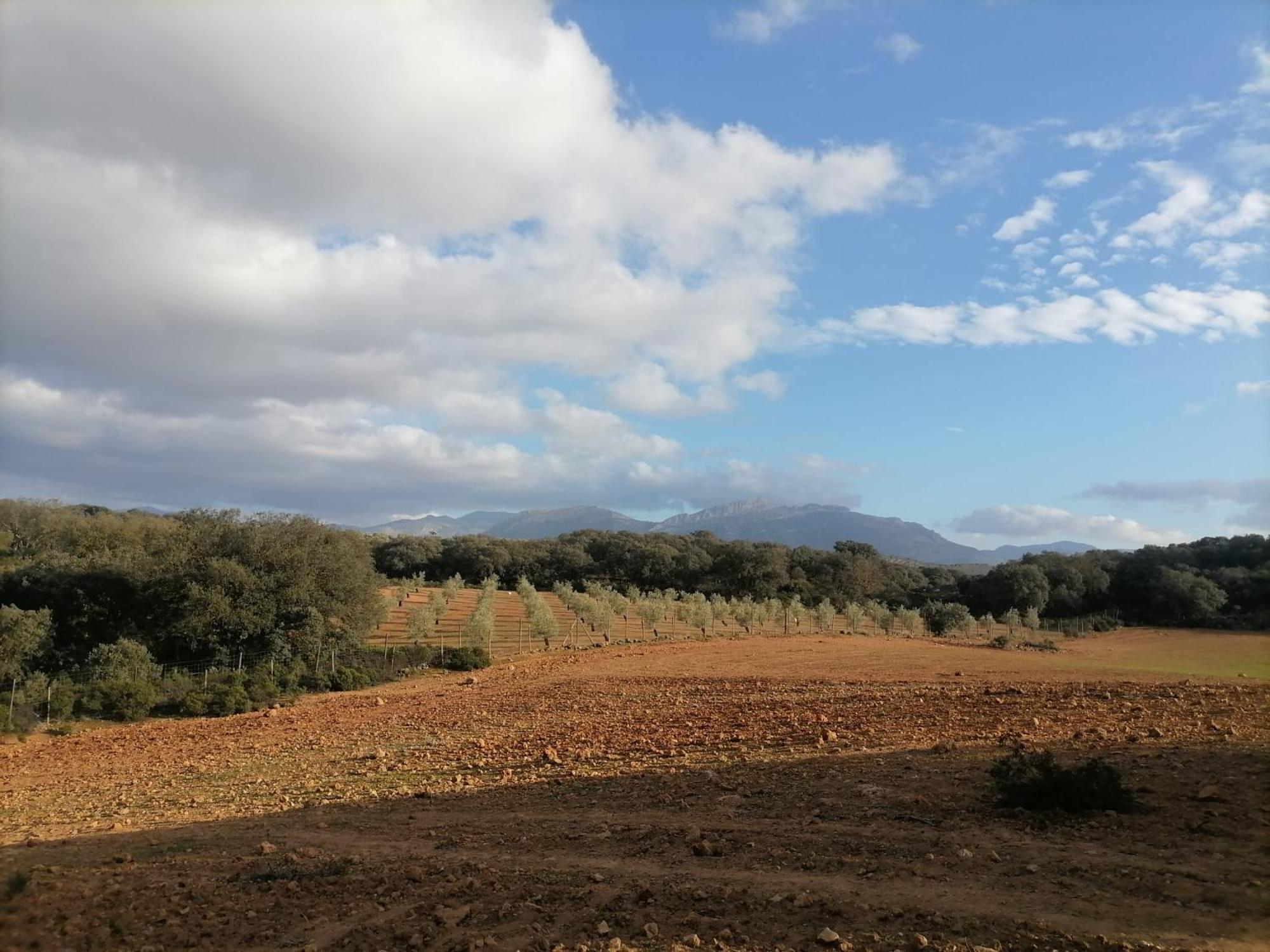 Casa Rural El Contarin - An Andalusian Escape, Archidona, Malaga Luaran gambar